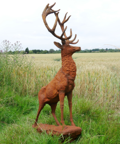 Rusty Stag Style 2 - D8889a