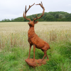 Rusty Stag Style 2 - D8889d