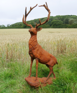 Rusty Stag Style 2 - D8889d