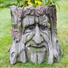 Tree Stump Planter - D4673b