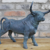 Bull Resin D10121c