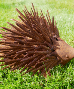 Hedgehog Rusty D10091a