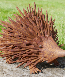 Hedgehog Rusty D10091b