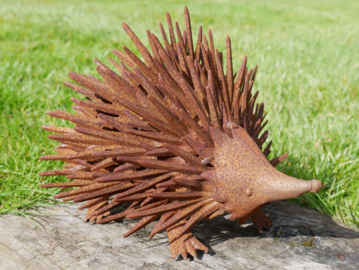 Hedgehog Rusty D10091b