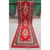 Persian Style Hall Rug - KAS528d