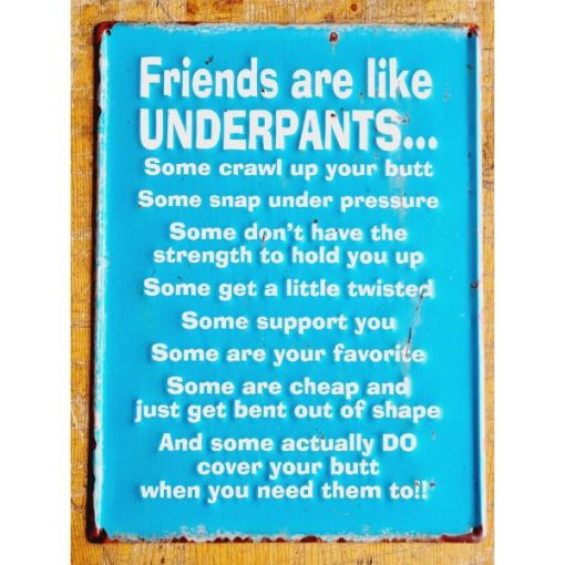 Friends are like underpants HS479