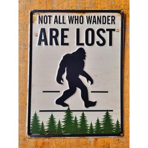 Not All Who Wander Are Lost HS501