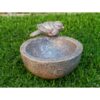 Bird Bowl 9458 (2)