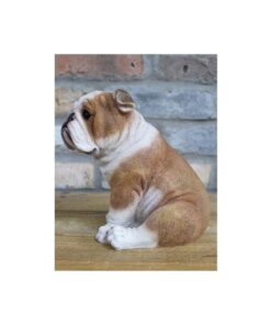 Bulldog Sitting D10071(2)