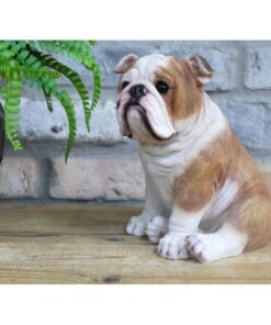 Bulldog Sitting D10071(4)