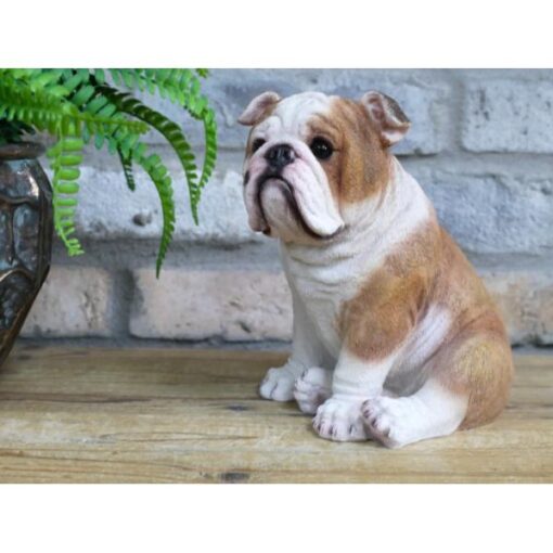 Bulldog Sitting D10071(4)