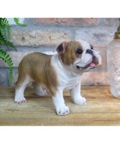 Bulldog Standing D10072(3)