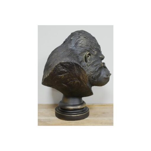 Gorilla Bust D10612(3)