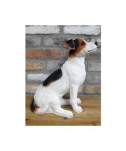 Jack Russell D9673(3)