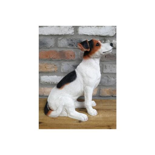 Jack Russell D9673(3)