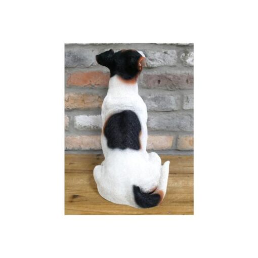 Jack Russell D9673(4)