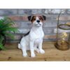 Jack Russell D9673(5)