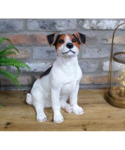 Jack Russell D9673(5)