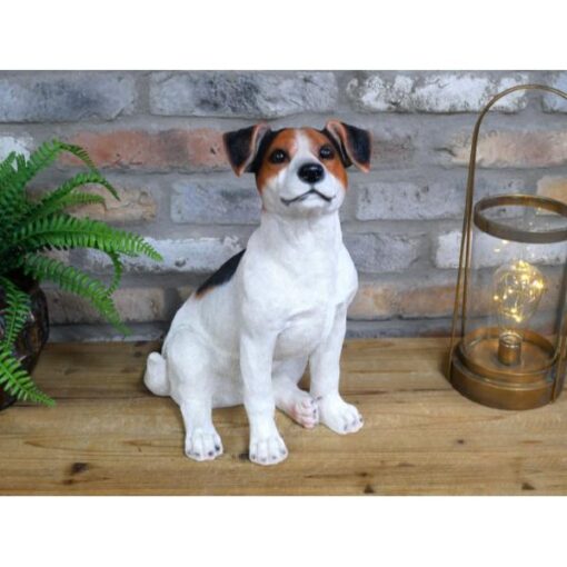 Jack Russell D9673(5)