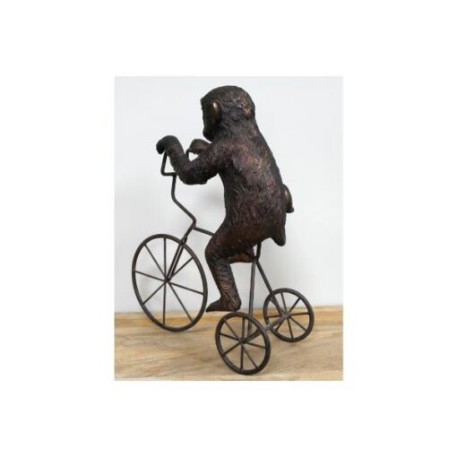 Monkey On Tricycle D10602(3)