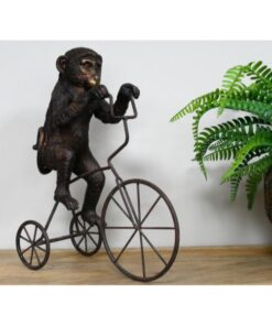 Monkey On Tricycle D10602(4)