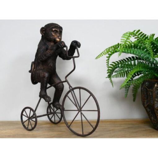 Monkey On Tricycle D10602(4)