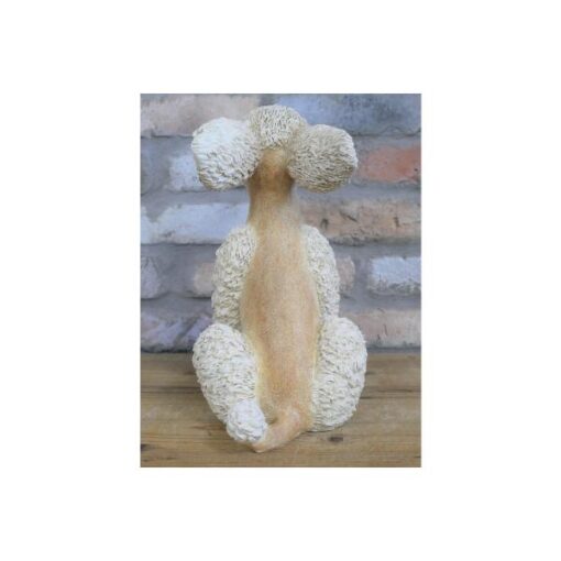 Poodle D8304 (2)