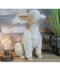 Poodle D8304 (3)