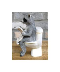 Racoon On The Loo D10272(2)