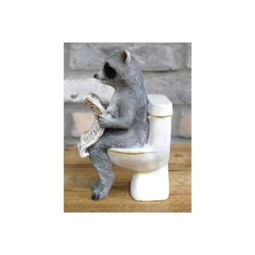 Racoon On The Loo D10272(2)