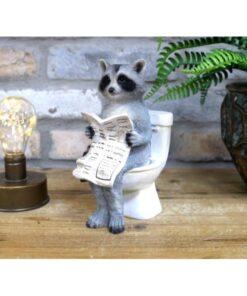 Racoon On The Loo D10272(4)