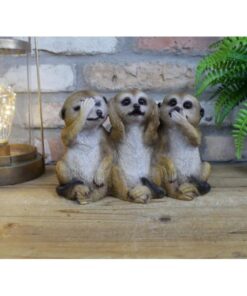 Three Meercats D8994(5)