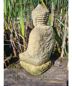 Buddha Contemplation EG114 (2)