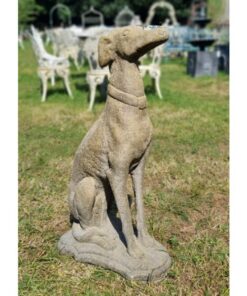 French Lurcher EG003 (1)