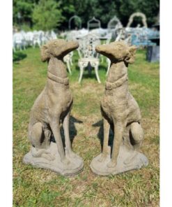 French Lurcher EG003 (6)