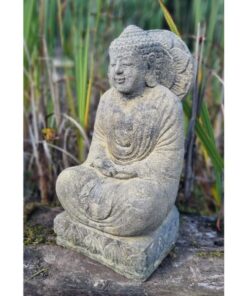 Buddha Wisdom EG112 (1)