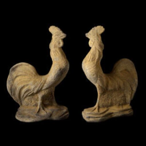 Cockerel EG027
