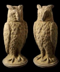 Owl EG017