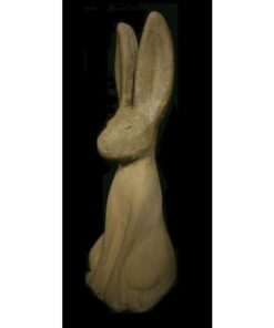 Woody Hare EG020