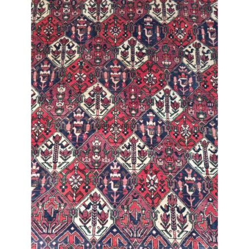 Bakhtiyar KASRug34 (4)