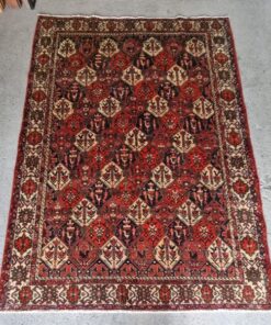 Bakhtiyar KASRug34 (6)