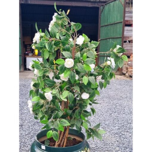 Ceramic Vase KAS821 (2)