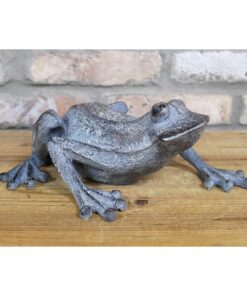 Frog D9394(1)