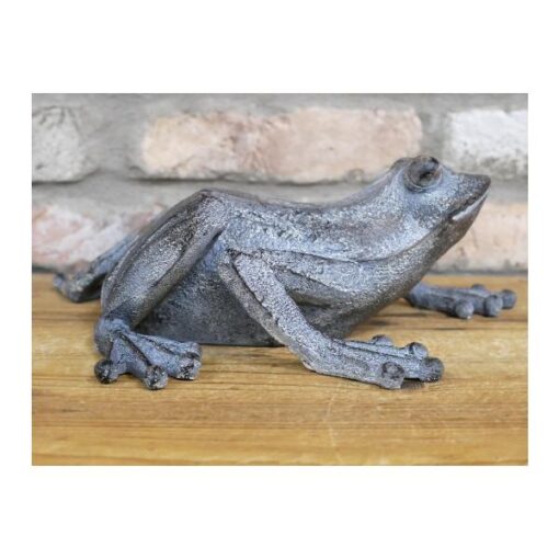 Frog D9394(2)