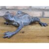 Frog D9394(3)