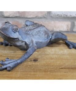 Frog D9394(3)