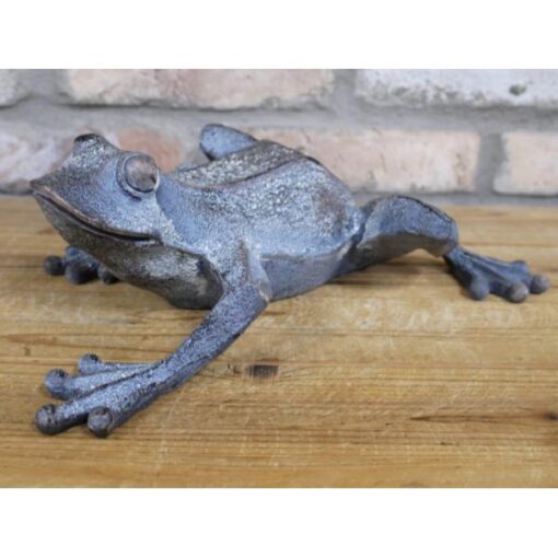 Frog D9394(3)