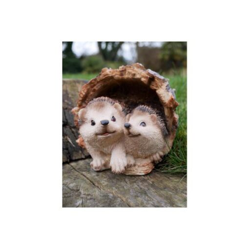 Hedgehog in log D6933 (1)