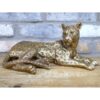 Laying Leopard D10730
