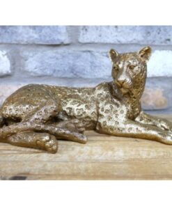 Laying Leopard D10730